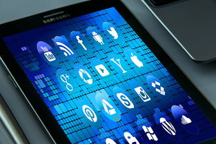 体育社交App用户行为路径与交互机制研究，体育用户特点